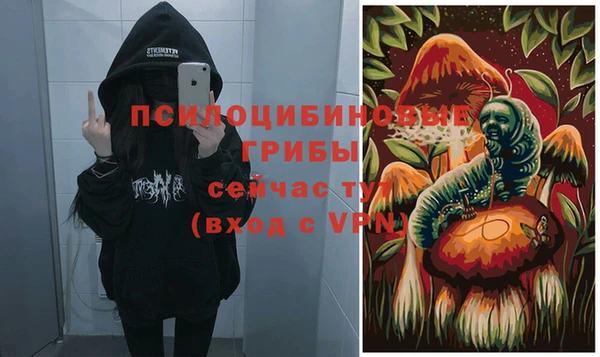 гидропоника Алзамай