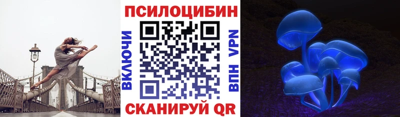 купить закладку  кракен зеркало  Галлюциногенные грибы прущие грибы  Дмитров 